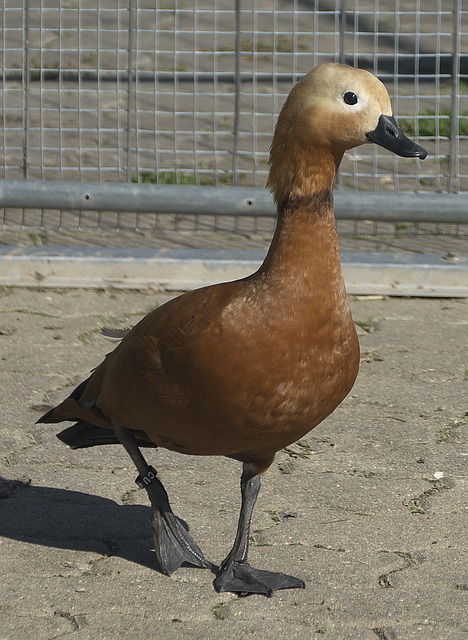 太阳能否在