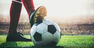 支持大型高 支持大型高