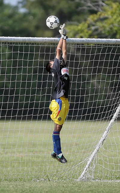 们自己的 们自己的