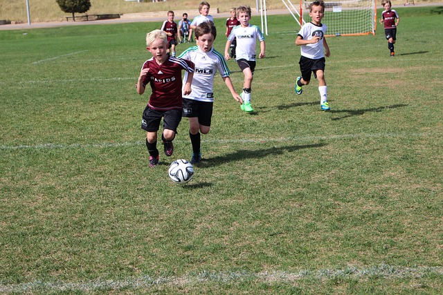 而诺瓦克 而诺瓦克