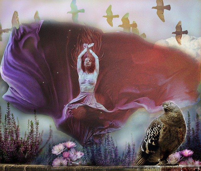 沙特的政策 沙特的政策