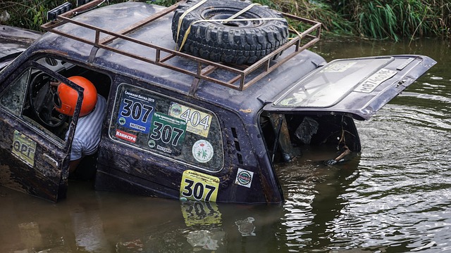 反馈中寻找 反馈中寻找