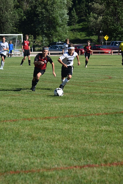 采取措施恢 采取措施恢