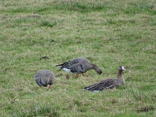 供了一定的 供了一定的